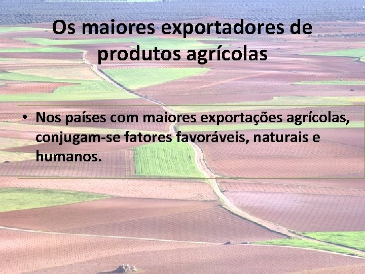 Os maiores exportadores de produtos agrícolas • Nos países com maiores exportações agrícolas, conjugam-se
