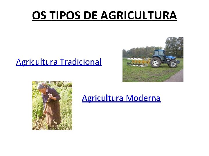 OS TIPOS DE AGRICULTURA Agricultura Tradicional Agricultura Moderna 
