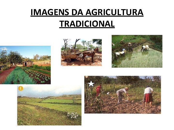 IMAGENS DA AGRICULTURA TRADICIONAL 