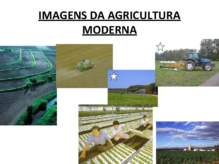 IMAGENS DA AGRICULTURA MODERNA 