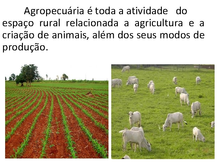 Agropecuária é toda a atividade do espaço rural relacionada a agricultura e a criação