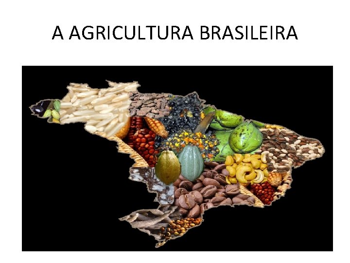 A AGRICULTURA BRASILEIRA 