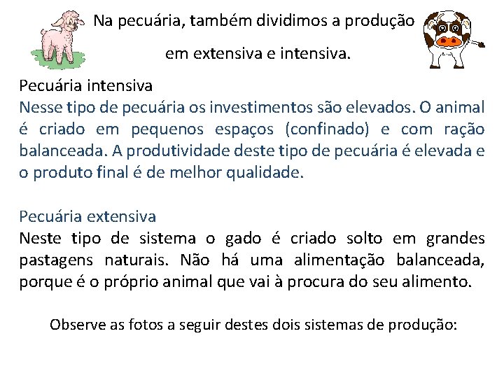 Na pecuária, também dividimos a produção em extensiva e intensiva. Pecuária intensiva Nesse tipo