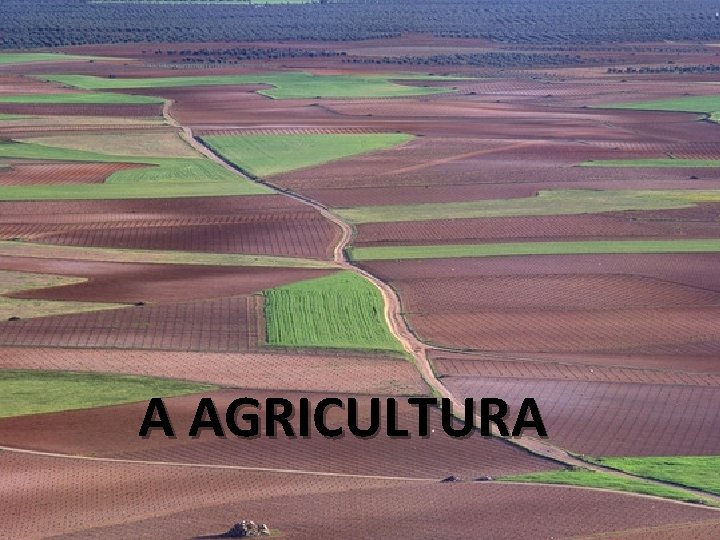 A AGRICULTURA 