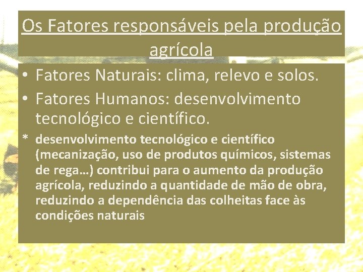 Os Fatores responsáveis pela produção agrícola • Fatores Naturais: clima, relevo e solos. •