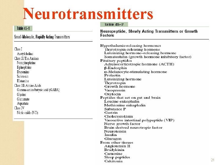 Neurotransmitters University of Jordan 21 Neurotransmitters University of Jordan 21