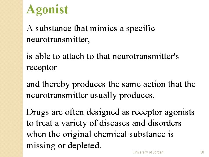 Agonist A substance that mimics a specific neurotransmitter, is able to attach to that Agonist A substance that mimics a specific neurotransmitter, is able to attach to that