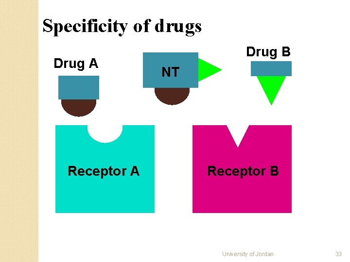 Specificity of drugs Drug A Receptor A Drug B NT Receptor B University of Specificity of drugs Drug A Receptor A Drug B NT Receptor B University of