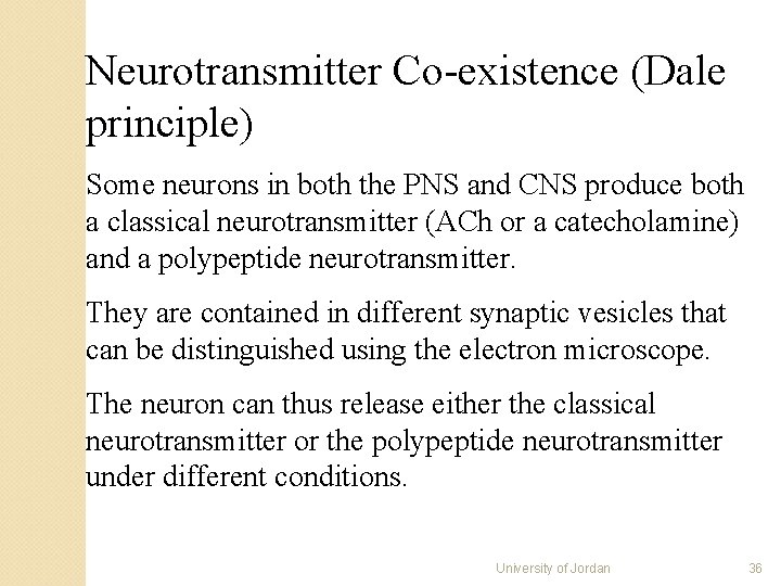 Neurotransmitter Co-existence (Dale principle) Some neurons in both the PNS and CNS produce both Neurotransmitter Co-existence (Dale principle) Some neurons in both the PNS and CNS produce both