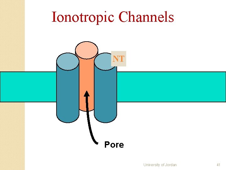 Ionotropic Channels NT Pore University of Jordan 41 Ionotropic Channels NT Pore University of Jordan 41