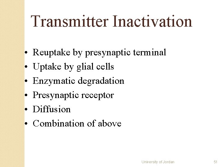 Transmitter Inactivation • • • Reuptake by presynaptic terminal Uptake by glial cells Enzymatic Transmitter Inactivation • • • Reuptake by presynaptic terminal Uptake by glial cells Enzymatic