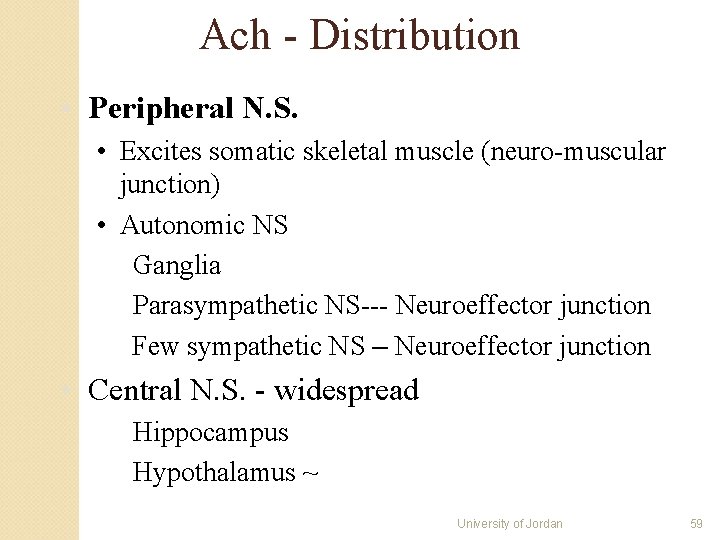 Ach - Distribution • Peripheral N. S. • Excites somatic skeletal muscle (neuro-muscular junction) Ach - Distribution • Peripheral N. S. • Excites somatic skeletal muscle (neuro-muscular junction)