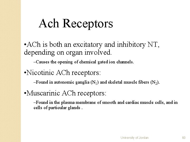 Ach Receptors • ACh is both an excitatory and inhibitory NT, depending on organ Ach Receptors • ACh is both an excitatory and inhibitory NT, depending on organ