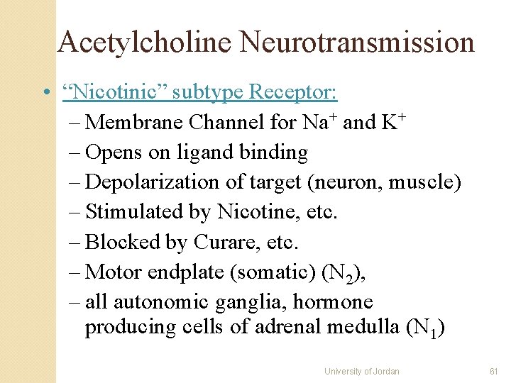 Acetylcholine Neurotransmission • “Nicotinic” subtype Receptor: – Membrane Channel for Na+ and K+ – Acetylcholine Neurotransmission • “Nicotinic” subtype Receptor: – Membrane Channel for Na+ and K+ –