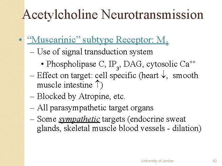 Acetylcholine Neurotransmission • “Muscarinic” subtype Receptor: M 1 – Use of signal transduction system Acetylcholine Neurotransmission • “Muscarinic” subtype Receptor: M 1 – Use of signal transduction system