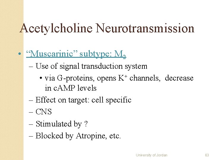 Acetylcholine Neurotransmission • “Muscarinic” subtype: M 2 – Use of signal transduction system • Acetylcholine Neurotransmission • “Muscarinic” subtype: M 2 – Use of signal transduction system •