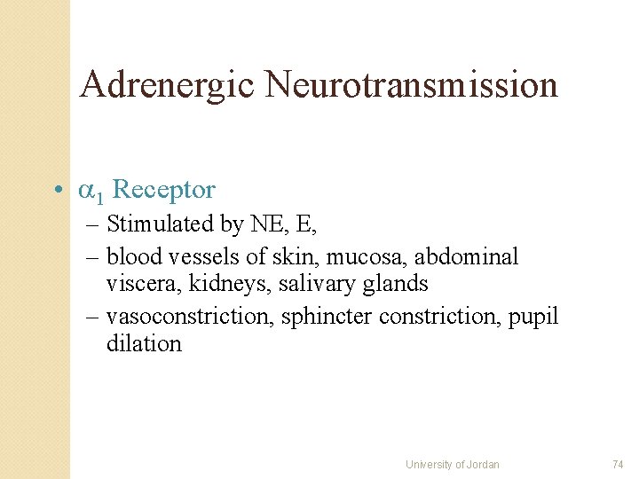 Adrenergic Neurotransmission • 1 Receptor – Stimulated by NE, E, – blood vessels of Adrenergic Neurotransmission • 1 Receptor – Stimulated by NE, E, – blood vessels of