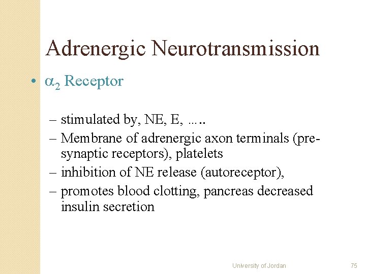Adrenergic Neurotransmission • 2 Receptor – stimulated by, NE, E, …. . – Membrane Adrenergic Neurotransmission • 2 Receptor – stimulated by, NE, E, …. . – Membrane