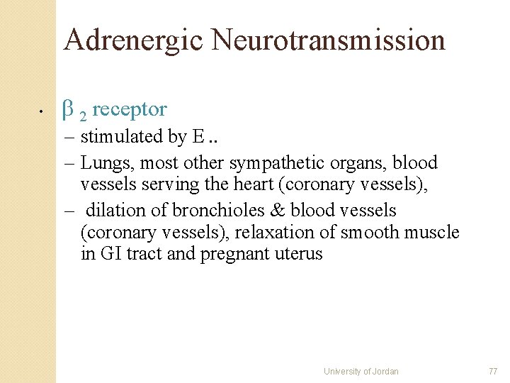 Adrenergic Neurotransmission • 2 receptor – stimulated by E. . – Lungs, most other Adrenergic Neurotransmission • 2 receptor – stimulated by E. . – Lungs, most other