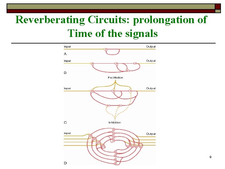 Reverberating Circuits: prolongation of Time of the signals University of Jordan 9 Reverberating Circuits: prolongation of Time of the signals University of Jordan 9