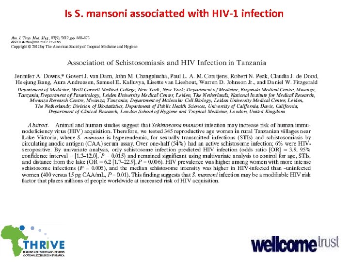 Is S. mansoni associatted with HIV-1 infection 