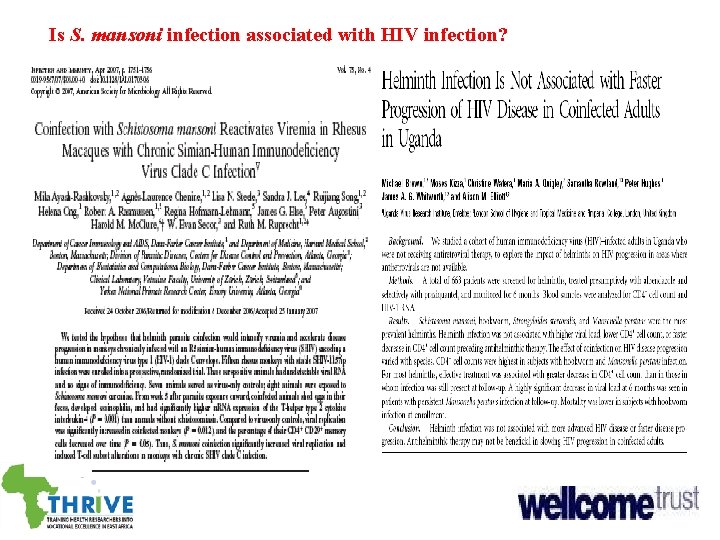 Is S. mansoni infection associated with HIV infection? 