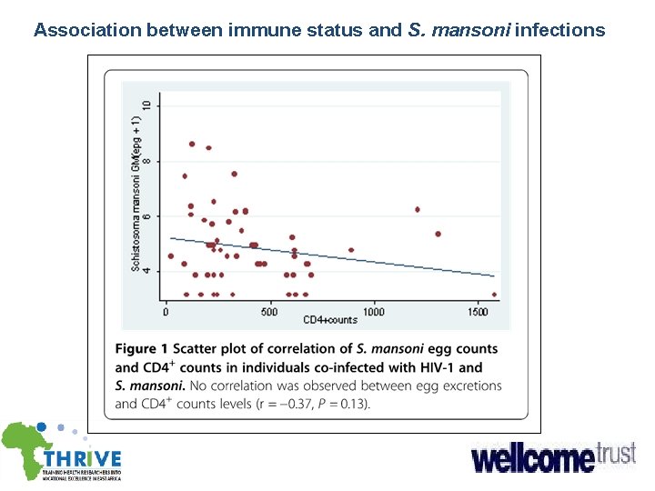 Association between immune status and S. mansoni infections 