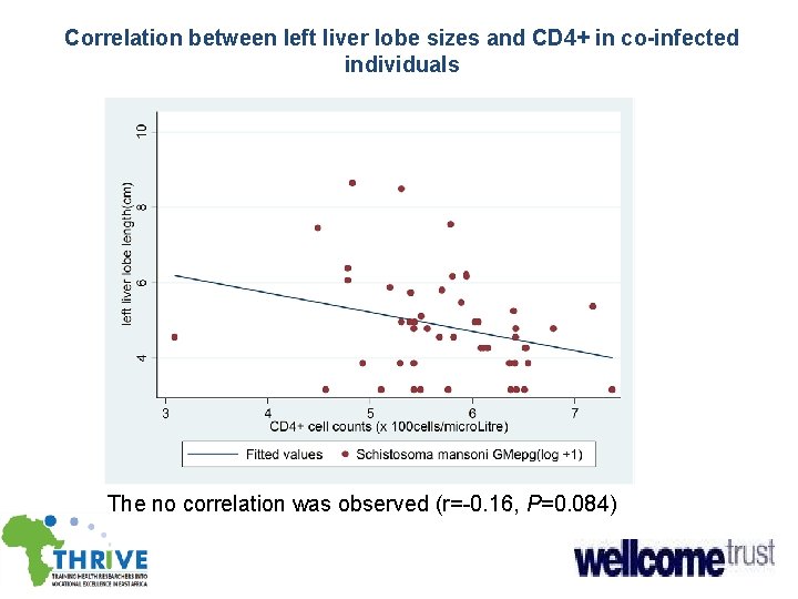 Correlation between left liver lobe sizes and CD 4+ in co-infected individuals The no