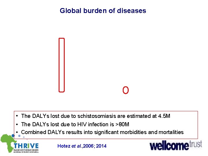 Global burden of diseases • The DALYs lost due to schistosomiasis are estimated at