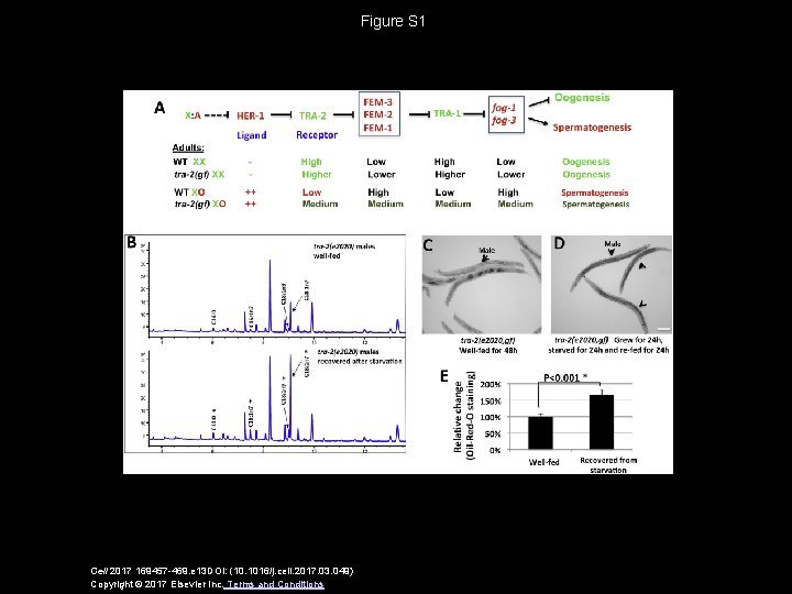 Figure S 1 Cell 2017 169457 -469. e 13 DOI: (10. 1016/j. cell. 2017.