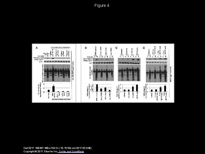 Figure 4 Cell 2017 169457 -469. e 13 DOI: (10. 1016/j. cell. 2017. 03.