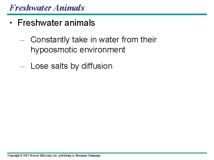 Freshwater Animals • Freshwater animals – Constantly take in water from their hypoosmotic environment