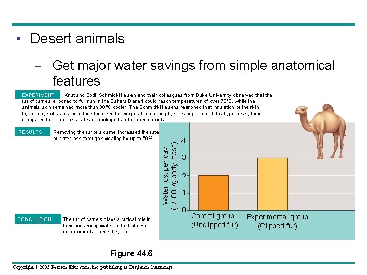  • Desert animals – Get major water savings from simple anatomical features EXPERIMENT