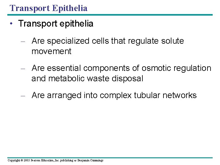 Transport Epithelia • Transport epithelia – Are specialized cells that regulate solute movement –