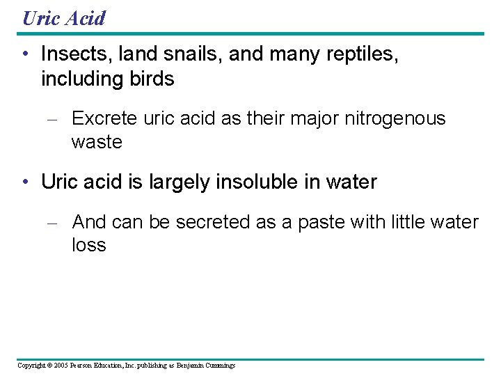 Uric Acid • Insects, land snails, and many reptiles, including birds – Excrete uric
