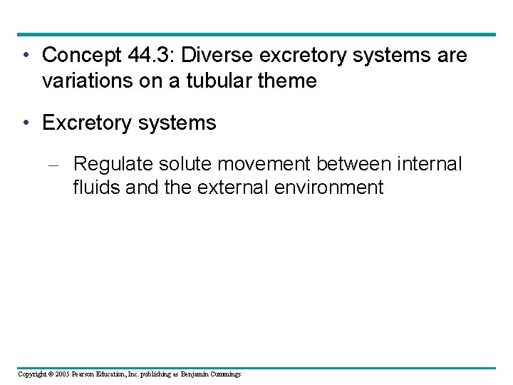  • Concept 44. 3: Diverse excretory systems are variations on a tubular theme