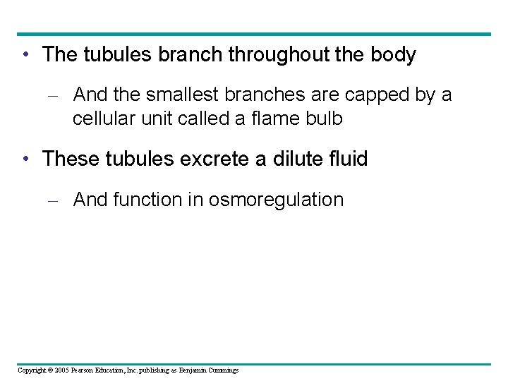  • The tubules branch throughout the body – And the smallest branches are