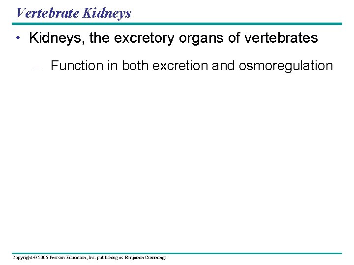 Vertebrate Kidneys • Kidneys, the excretory organs of vertebrates – Function in both excretion