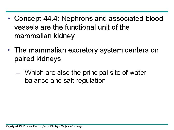  • Concept 44. 4: Nephrons and associated blood vessels are the functional unit