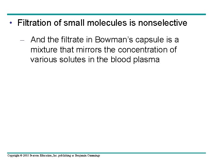  • Filtration of small molecules is nonselective – And the filtrate in Bowman’s