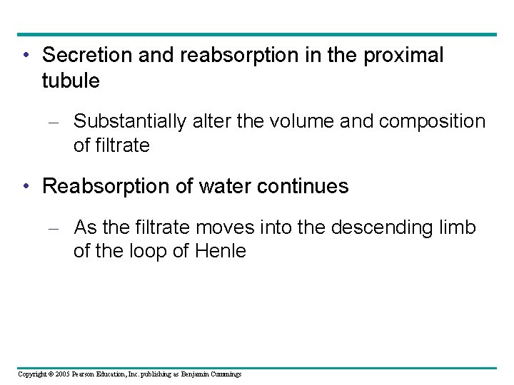  • Secretion and reabsorption in the proximal tubule – Substantially alter the volume