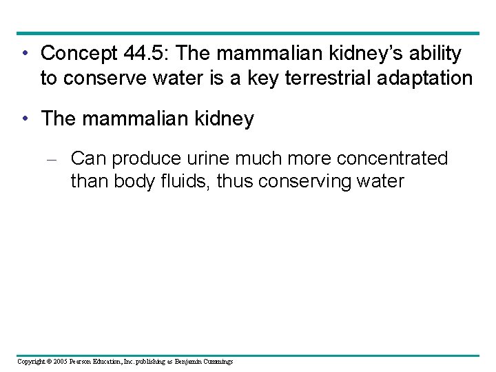  • Concept 44. 5: The mammalian kidney’s ability to conserve water is a