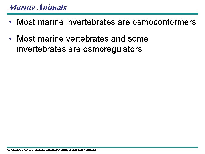 Marine Animals • Most marine invertebrates are osmoconformers • Most marine vertebrates and some