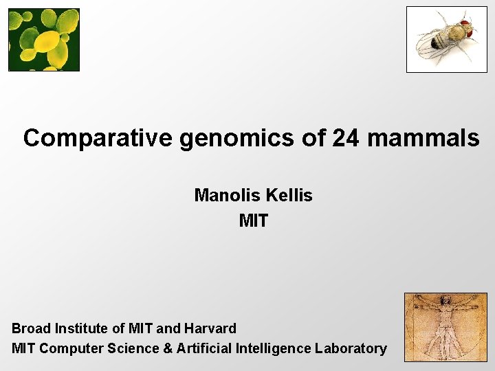 Comparative genomics of 24 mammals Manolis Kellis MIT Broad Institute of MIT and Harvard
