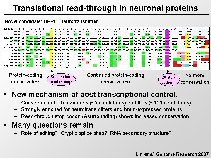 Translational read-through in neuronal proteins Novel candidate: OPRL 1 neurotransmitter Protein-coding conservation Stop codon