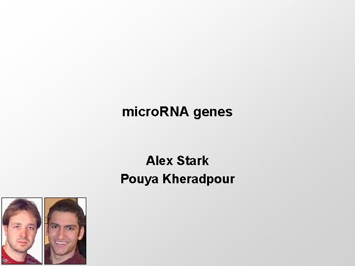micro. RNA genes Alex Stark Pouya Kheradpour 