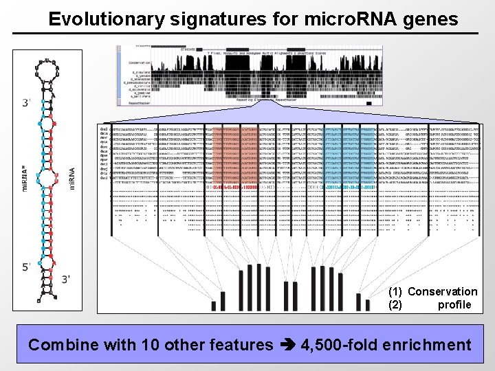 Evolutionary signatures for micro. RNA genes (1) Conservation (2) profile Combine with 10 other