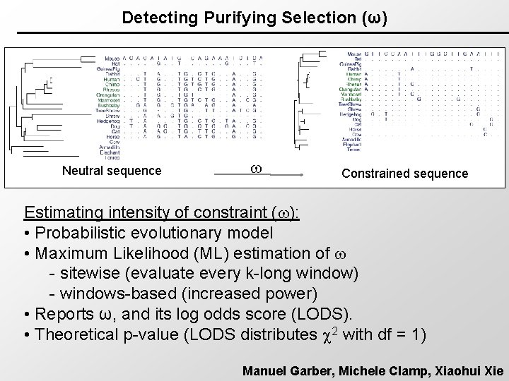 Detecting Purifying Selection (ω) Neutral sequence Constrained sequence Estimating intensity of constraint ( ):