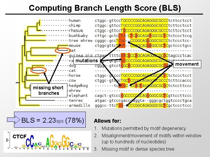 Computing Branch Length Score (BLS) mutations movement missing short branches BLS = 2. 23