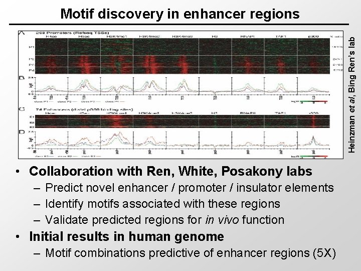 Heinzman et al, Bing Ren’s lab Motif discovery in enhancer regions • Collaboration with